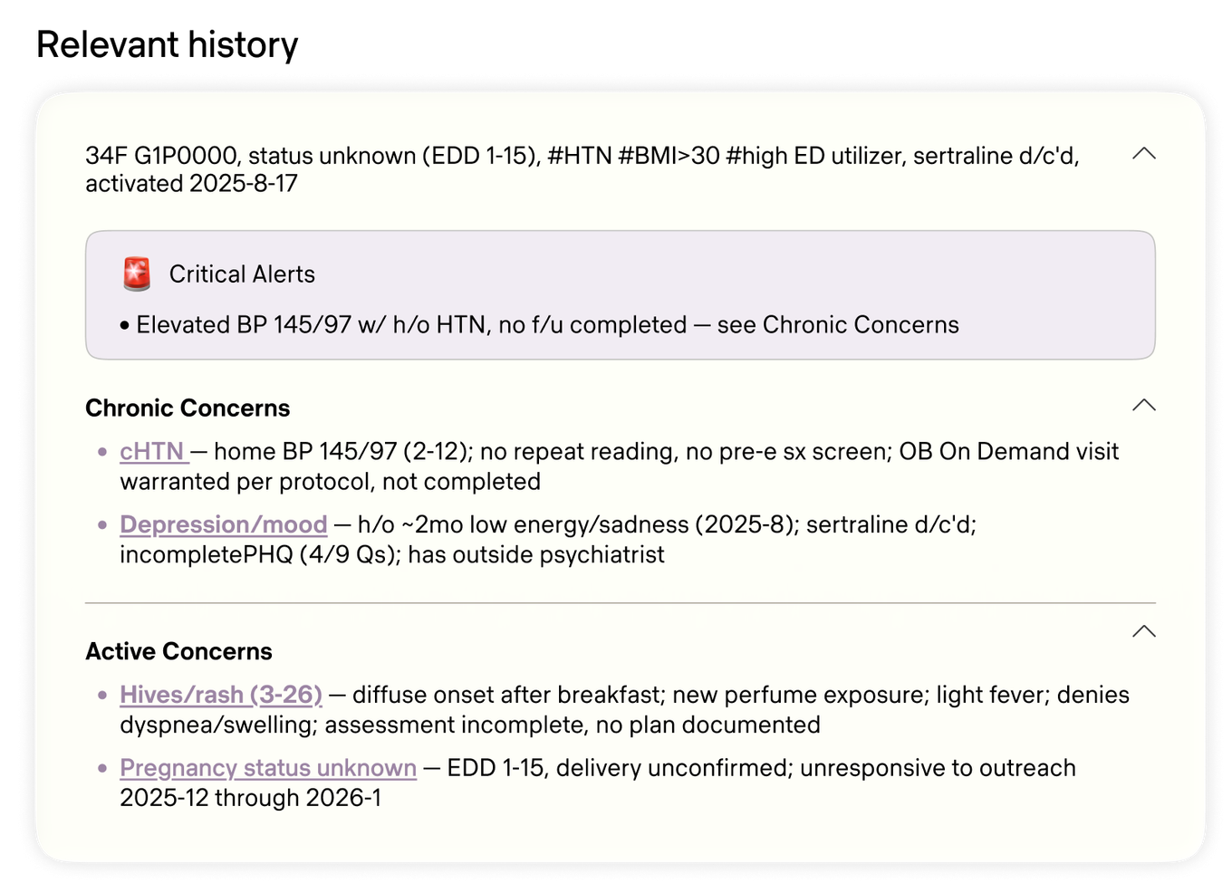 A synthetic patient summary with Critical Alerts, Chronic Concerns, and Active Concerns sections. No real patient is depicted.